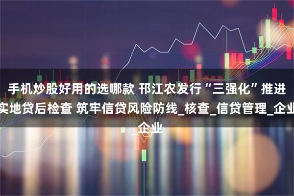 手机炒股好用的选哪款 邗江农发行“三强化”推进实地贷后检查 筑牢信贷风险防线_核查_信贷管理_企业