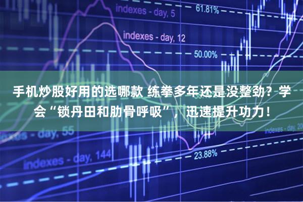 手机炒股好用的选哪款 练拳多年还是没整劲？学会“锁丹田和肋骨呼吸”，迅速提升功力！