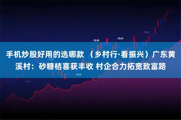 手机炒股好用的选哪款 （乡村行·看振兴）广东黄溪村：砂糖桔喜获丰收 村企合力拓宽致富路